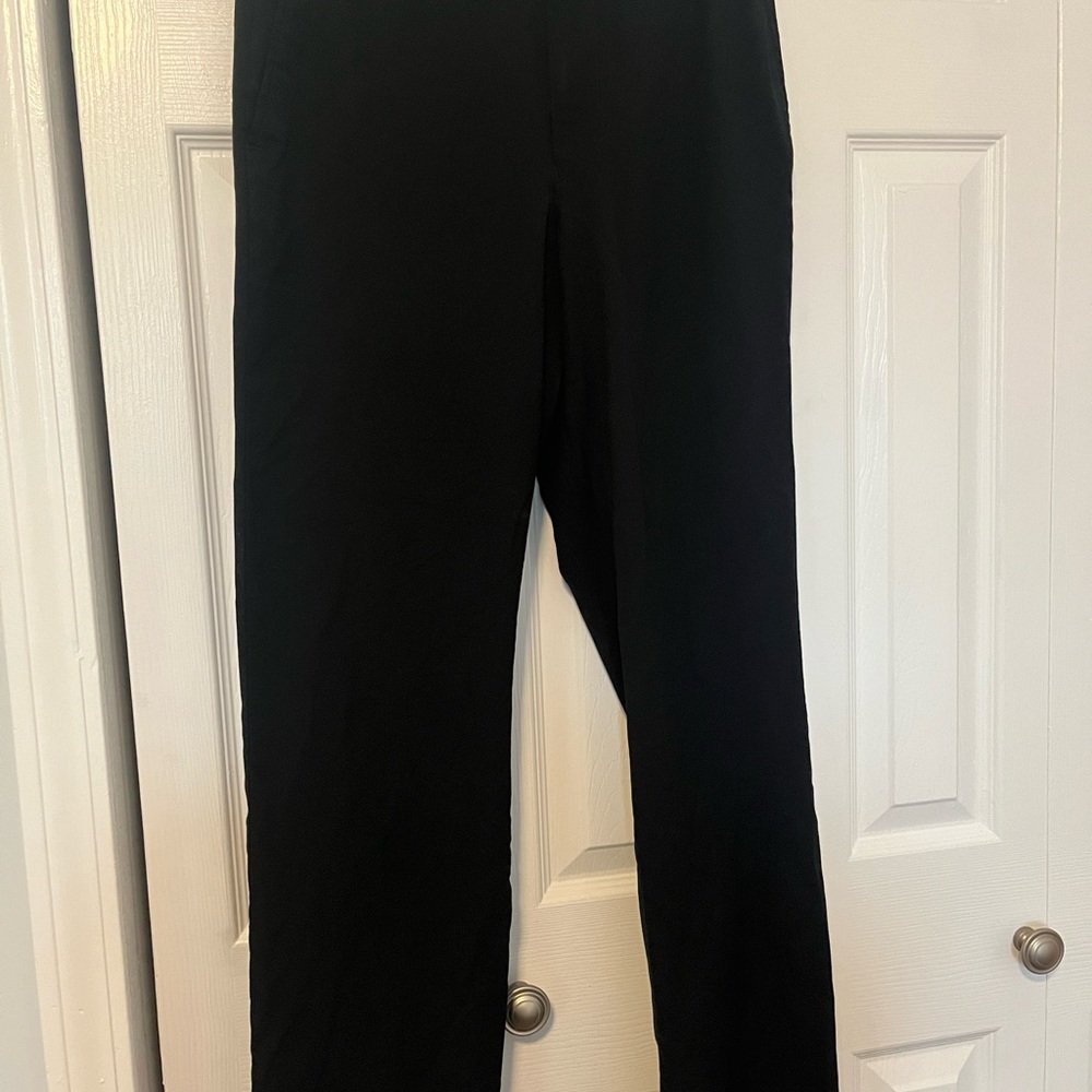 Louis Raphael Tailored Mens Dress Pant 28x30